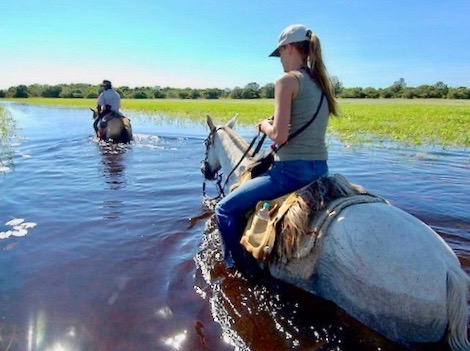 paard-rivier